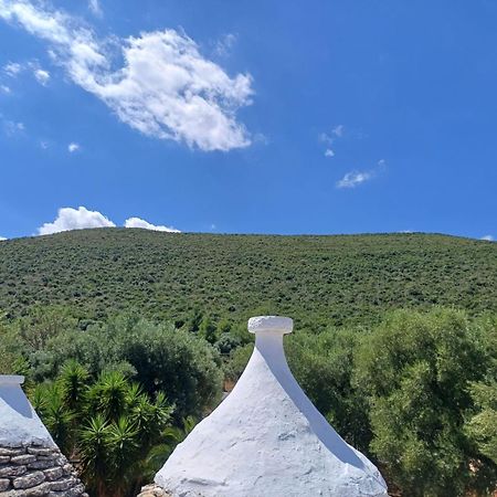 فيلا Hill Trull - Typical Apulian House مونوبولي المظهر الخارجي الصورة