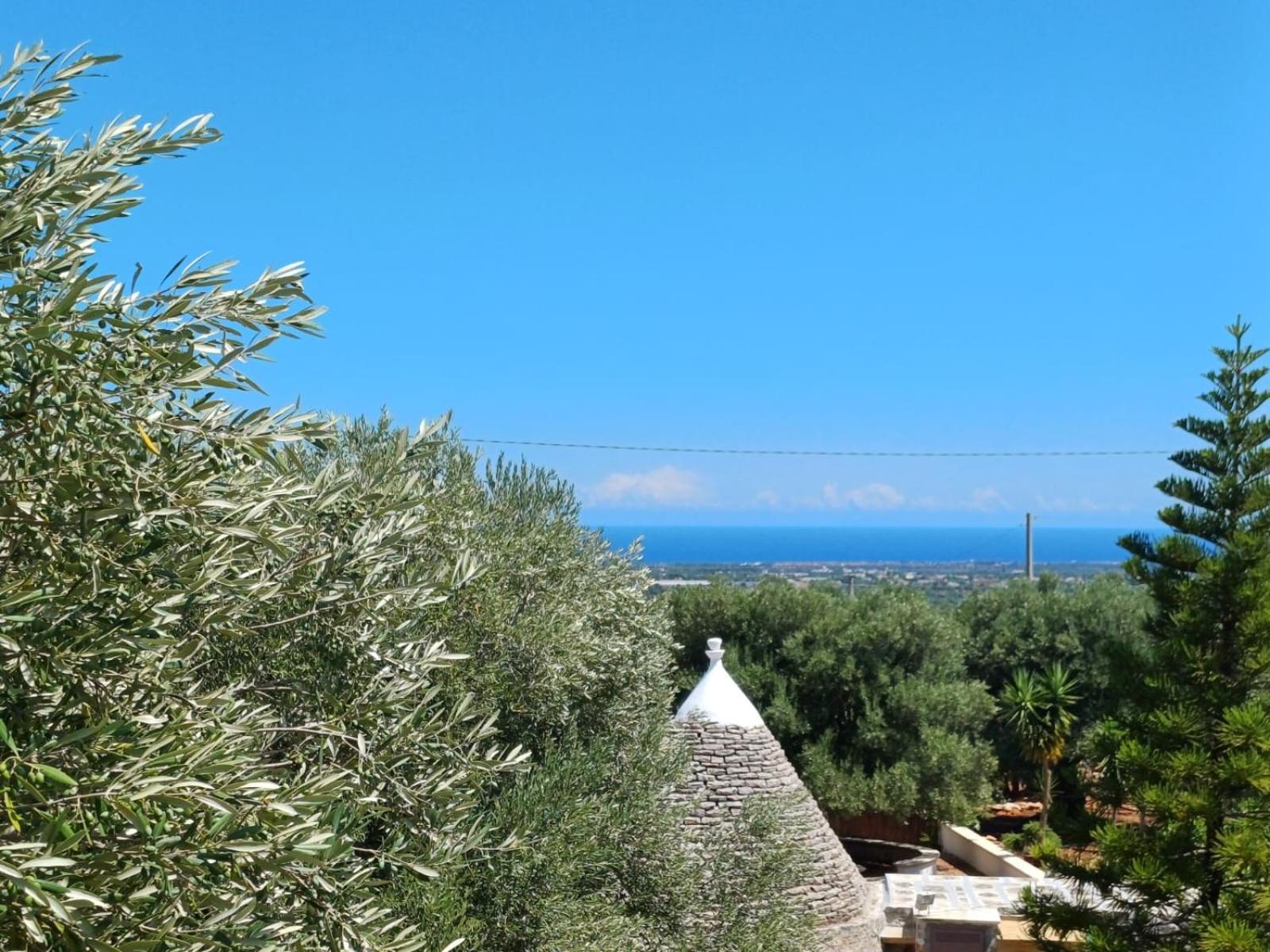 فيلا Hill Trull - Typical Apulian House مونوبولي المظهر الخارجي الصورة