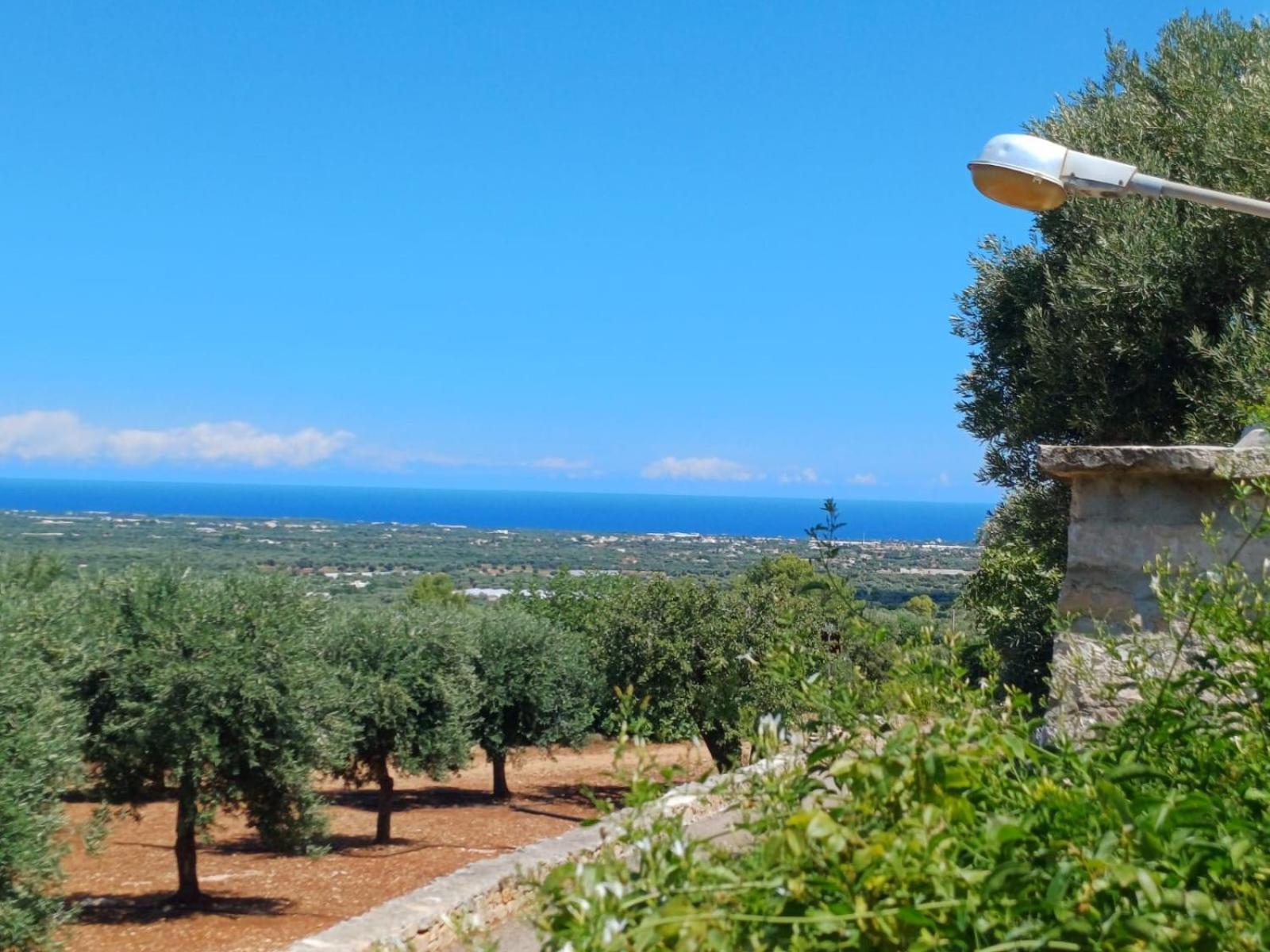 فيلا Hill Trull - Typical Apulian House مونوبولي المظهر الخارجي الصورة